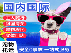 南京禄口航空邮寄国际宠物托运 【国
